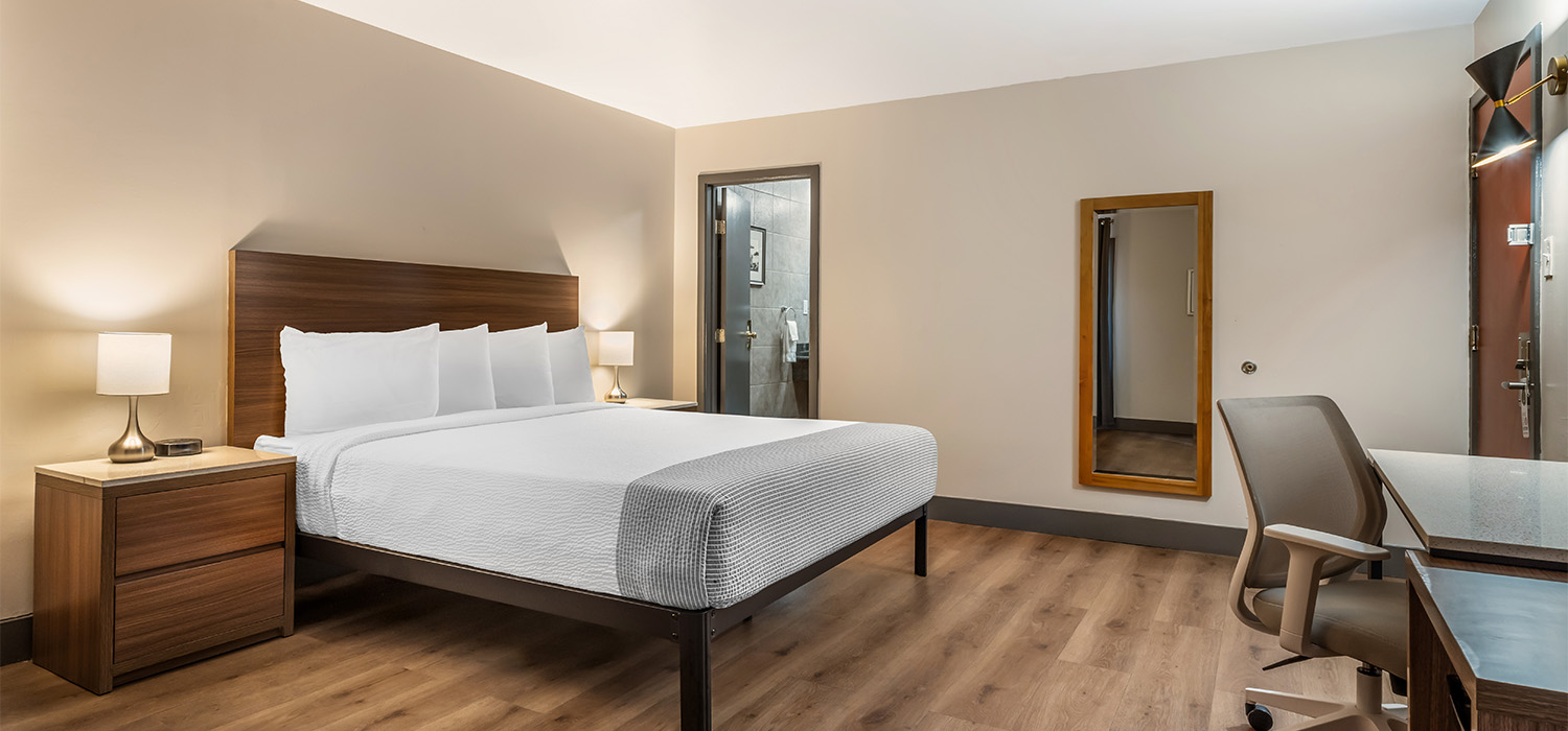 Our Guest Rooms Feature Contemporary Design